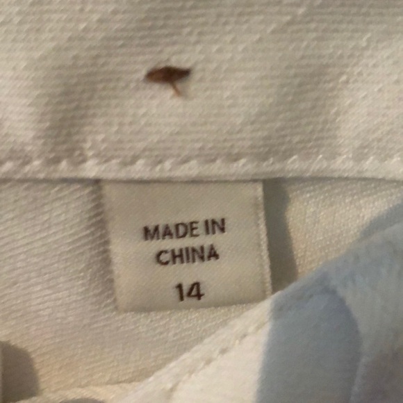 Coldwater Creek white jeans.  Misses 14. Like new - Picture 3 of 8
